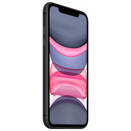 Apple iPhone 11 64GB Gray, třída B, použitý, záruka 12 měsíců, DPH nelze odečíst