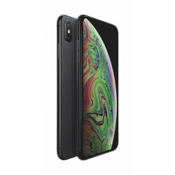 Apple iPhone XS MAX 64GB Gray, třída A, použitý, záruka 12 měs.,DPH nelze odečíst