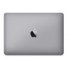 MacBook 12 "Retina 2016, 8GB, 256GB SSD, Class B, Gray, refurbished, 12 month warranty