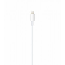 IssAcc Cable Lightning to USB-C for Apple iPhone, 1m, white, PN: 29072021c1