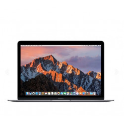 MacBook 12" Retina 2017, 8GB, 256GB SSD, Class A-, Gray, refurbished, 12-month warranty