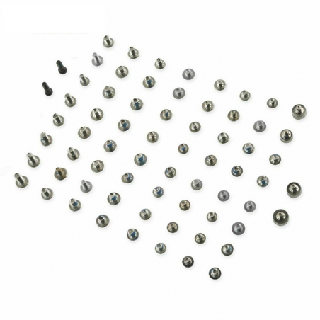 IPhone 6 Plus screws - screw bag