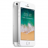 Apple iPhone SE 16GB Silver, třída A-, použitý, záruka 12 měsíců, DPH nelze odečíst