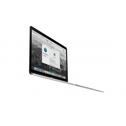 Apple MacBook 12 Retina, 8GB,256GB SSD,repas.,třída jako nový,zár.12měs. DPH nelze odečíst