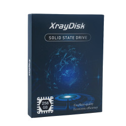 SSD 256GB mSATA XrayDisk