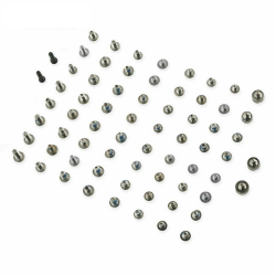 IPhone 6s Plus screw bag - screws