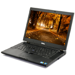 DELL E6500 P8700, 4GB, 320GB, DVDRW, Class A-, without webcam, refurbished, 12 months warranty