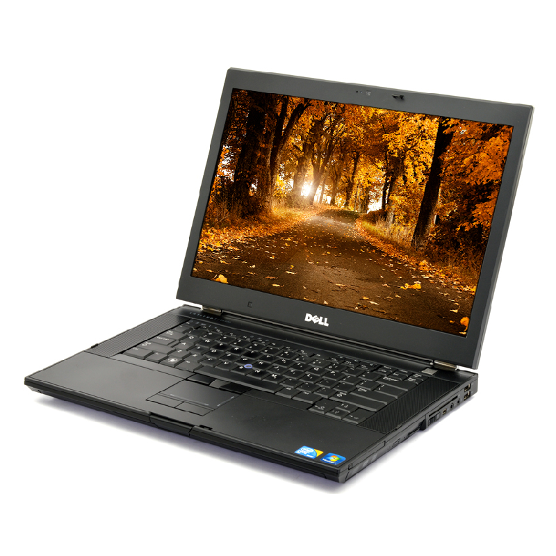 DELL E6500 P8700, 4GB, 320GB, DVDRW, Class A-, without webcam, refurbished, 12 months warranty