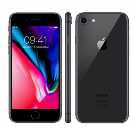 Apple iPhone 8 64GB Gray, class B, used, warranty 12 months, VAT cannot be deducted